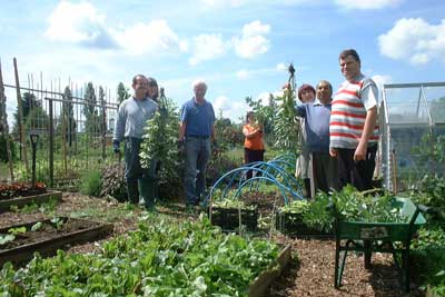 clearing beds